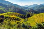 Guide francophone pour la boucle de Ha Giang : découvrez les montagnes du Nord avec un expert local