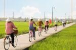 Où partir au Vietnam en janvier ?