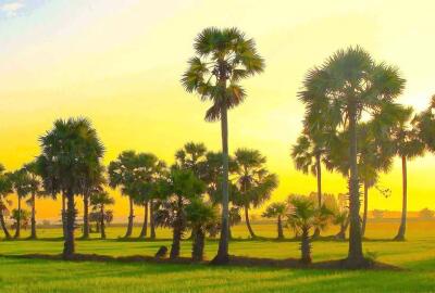 Top 12 meilleures choses à faire à Chau Doc, ville frontalière avec le Cambodge