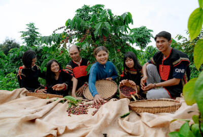 Où visiter les plantations de café au Vietnam ?