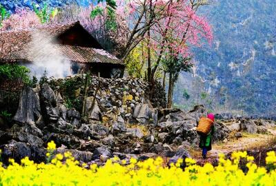 Top 15 destinations incontournables du Vietnam en 2024