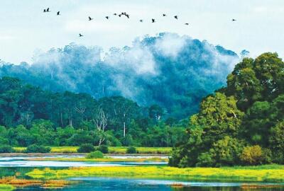 Écotourisme du parc national de Cat Tien: une aventure inoubliable