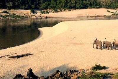 Un voyage authentique au Laos dans les réserves naturelles