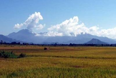 Le parc national de Phuoc Binh