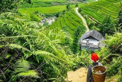 Sapa, ville dans la brume: Guide complet de A à Z