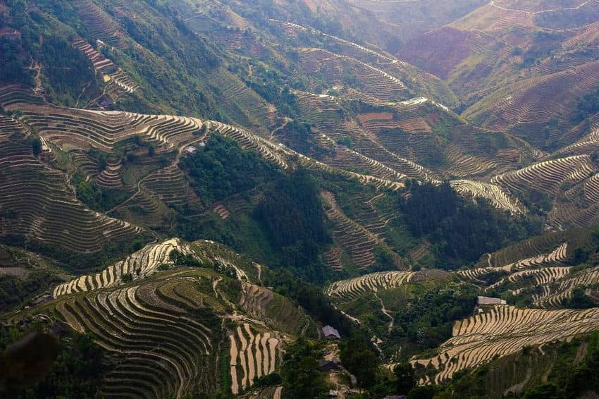 trek-hoang-su-phi-montagne