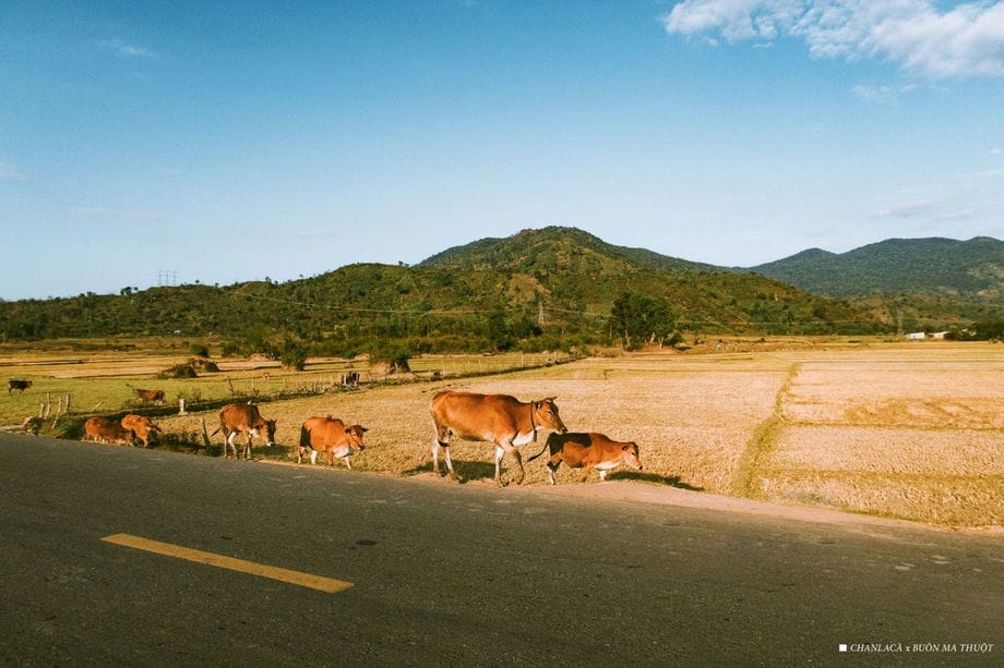 voyage-moto-dalat-daklak