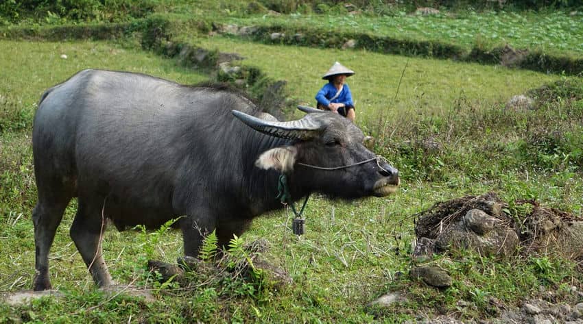 trek-mai-chau-bac-ha