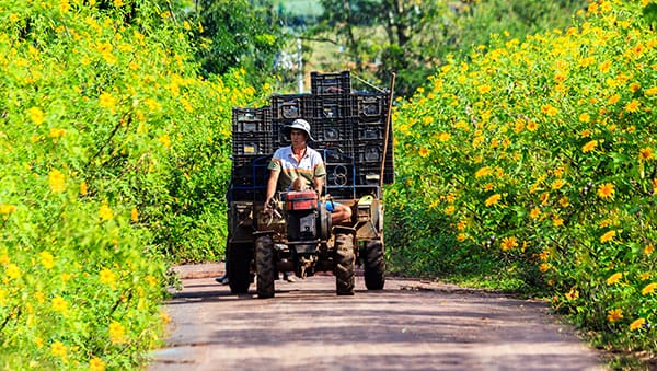 voyager a dalat bon temps