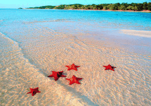 Excursion_PhuQuoc_4jours