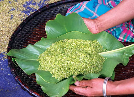 guide-complet-de-mu-cang-chai-paradis-des-rizieres-en-terrasse