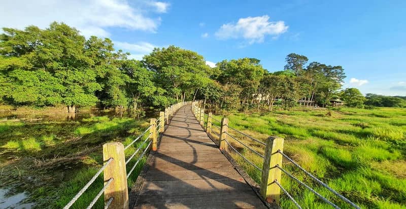 ecotourisme-du-parc-national-de-cat-tien-une-aventure-inoubliable