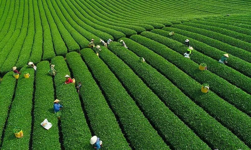 que-faire-dans-le-nordouest-du-vietnam