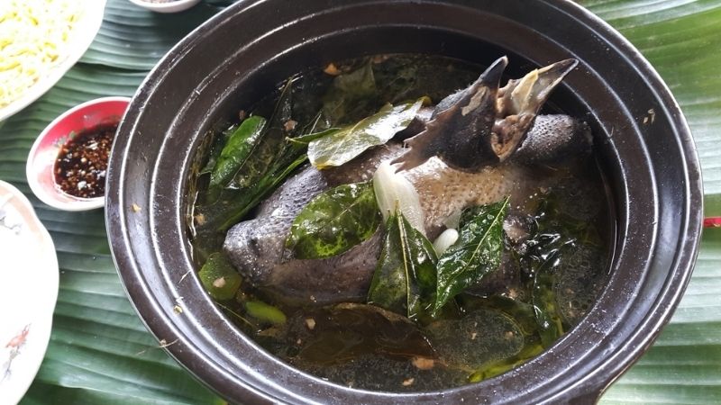 guide-complet-de-mu-cang-chai-paradis-des-rizieres-en-terrasse