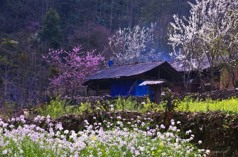 Prix-de-la-boucle-de-Ha-Giang-tout-ce-qu’il-faut-savoir