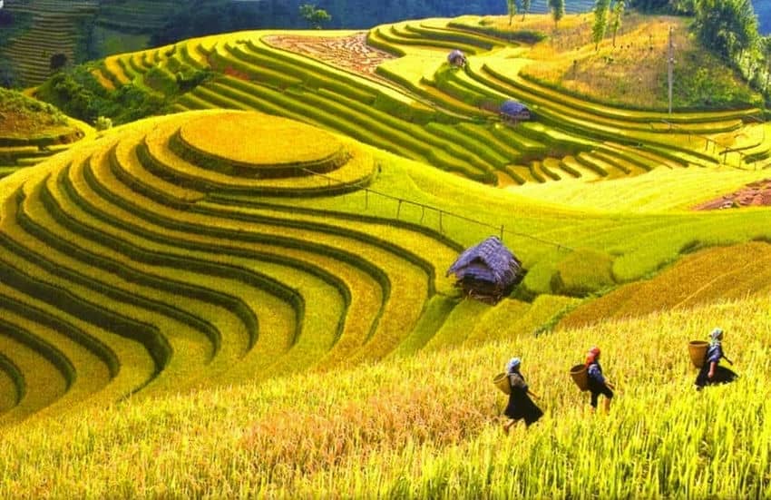 voyager-au-vietnam-en-septembre