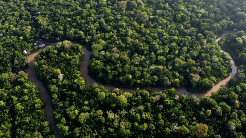 le-bresil-une-destination-ecotouristique-par-excellence