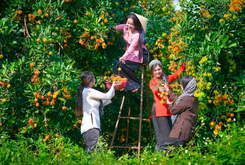 que-faire-dans-le-delta-du-mekong-en-1-jour