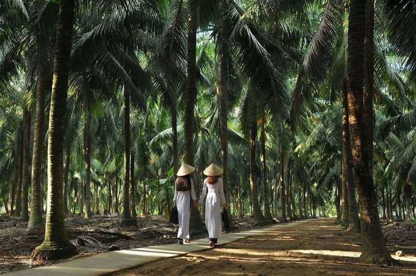 guide-complet-pour-voyager-au-vietnam-en-decembre