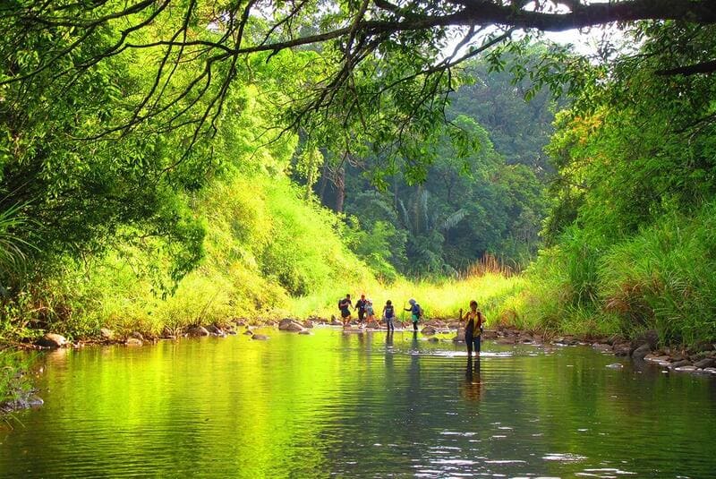 decouvrez-les-meilleures-destinations-de-tourisme-rural-au-vietnam