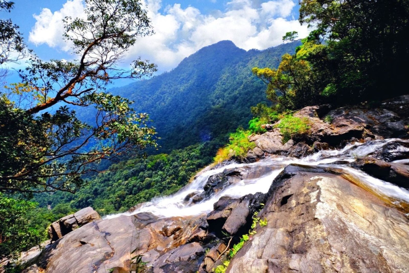 experience-pour-decouvrir-le-parc-national-de-bach-ma