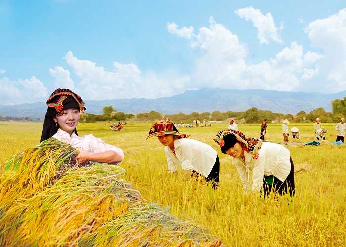 Mai_Chau