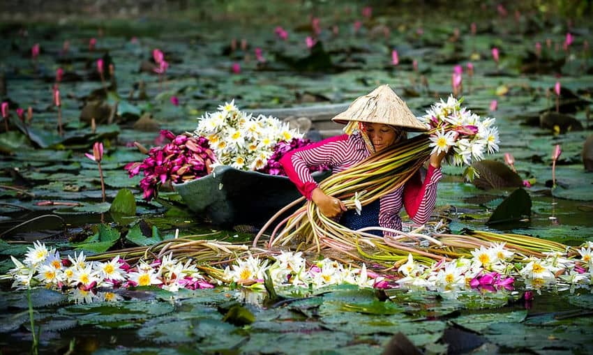 comment-organiser-son-voyage-au-vietnam