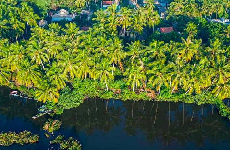 que-faire-dans-le-delta-du-mekong-en-1-jour