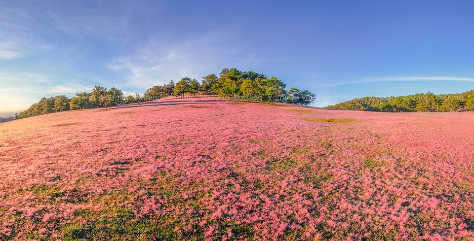 voyager-dans-le-sud-du-vietnam-en-novembre