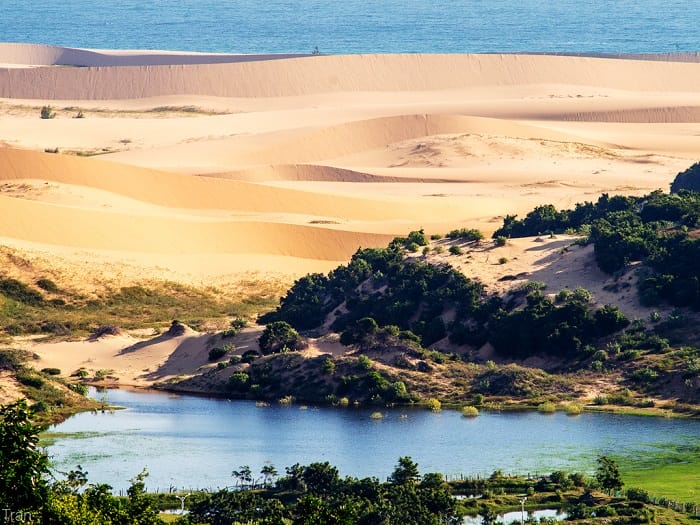 explorez-top-7-dunes-de-sable-les-plus-impressionnantes-du-vietnam