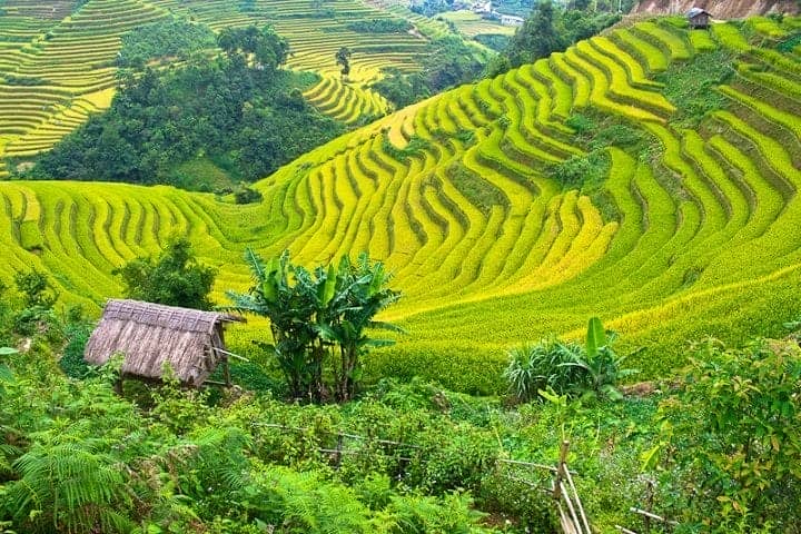 activites-insolites-a-faire-au-vietnam