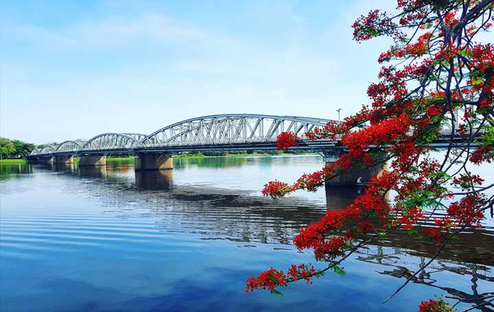 mangrove-de-Ru-Cha-a-Hue