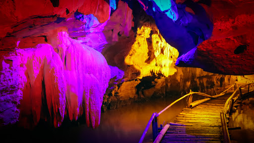 parc-ornithologique-de-thung-nham-un-tresor-cache-de-ninh-binh