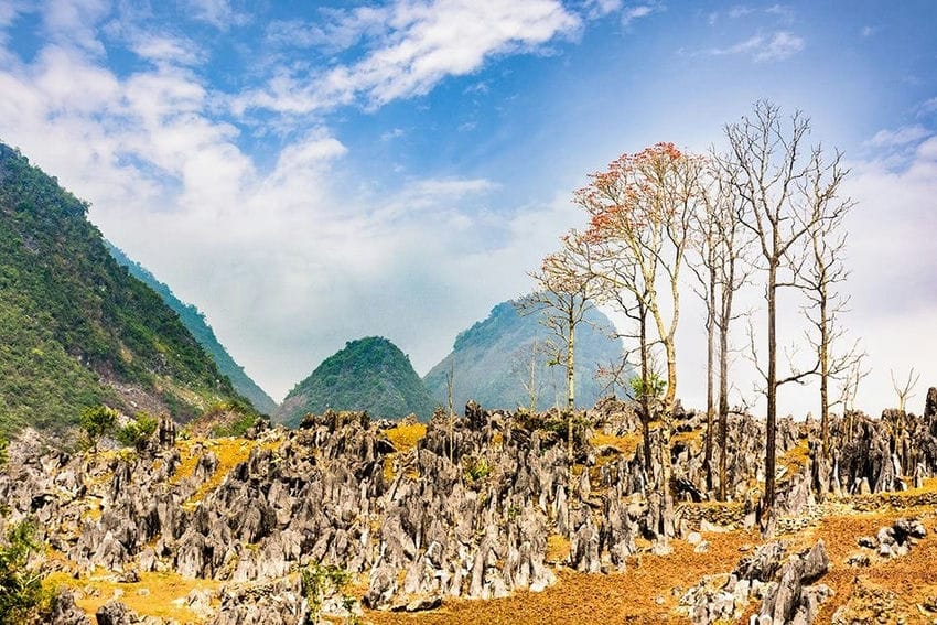 a-la-decouverte-du-haut-plateau-karstique-de-tua-chua