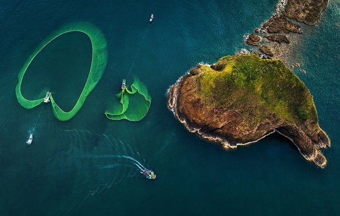 province-de-phu-yen-song-cau-et-ile-robinson