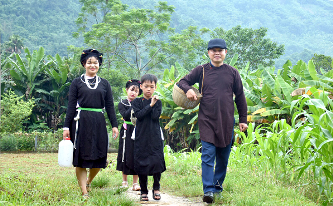 vallee-de-Lam-Thuong-a-Yen-Bai