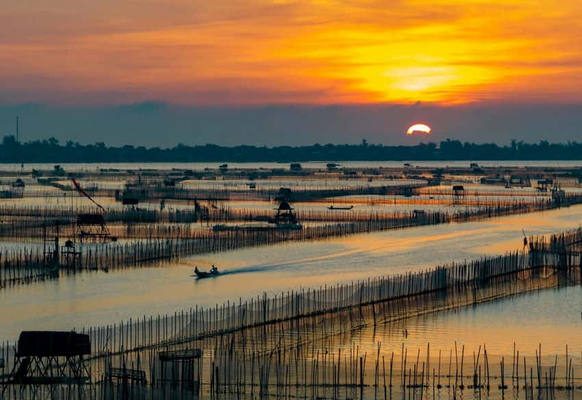 lagune-de-tam-giang