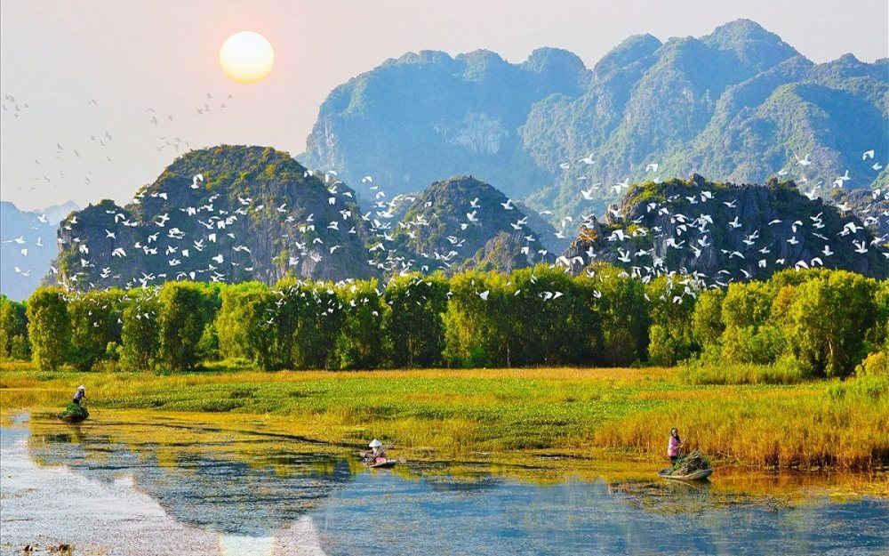 la-mangrove-de-can-gio-un-ecosysteme-unique-au-coeur-du-vietnam