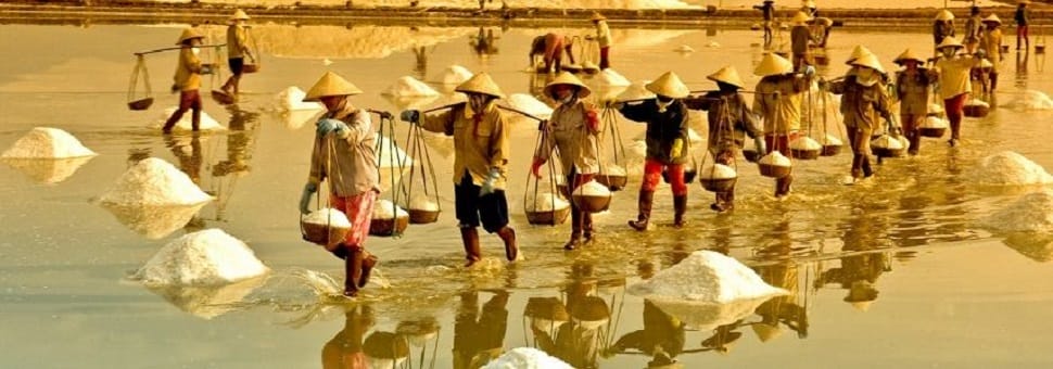 Les plus beaux marais salants du VIetnam marais-salants-vietnam