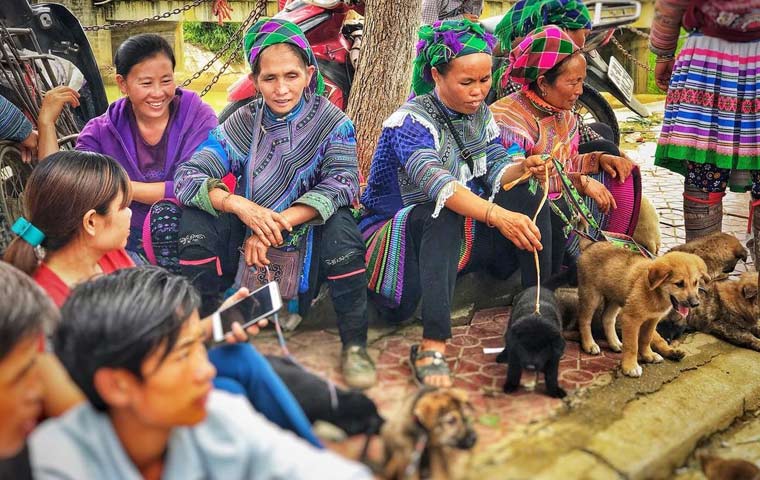 voyager-au-vietnam-en-aout
