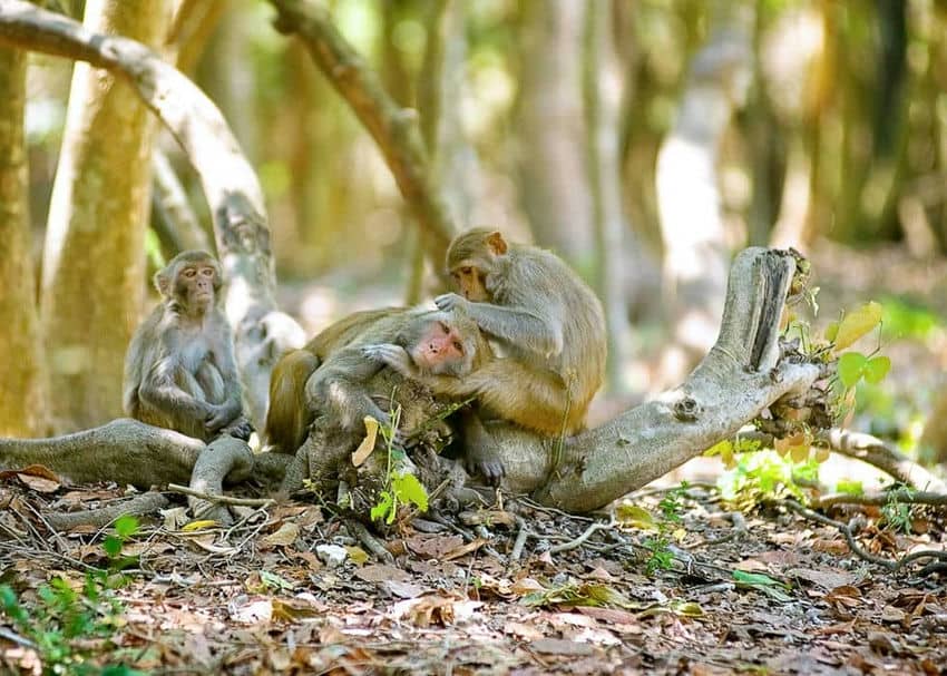 top-15-des-activites-daventure-incontournables-au-vietnam