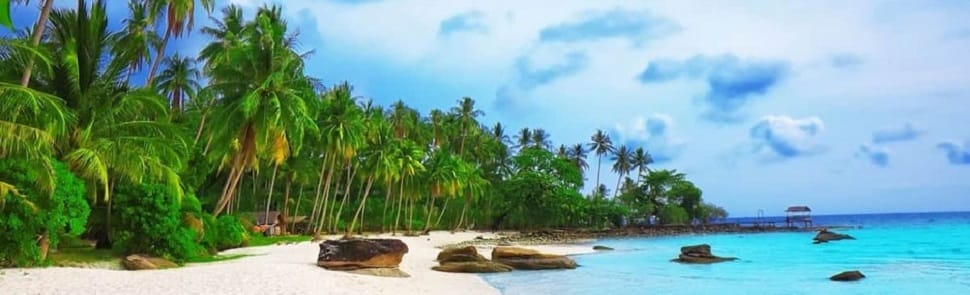 Les Parcs Nationaux dans le Centre et le Sud du Vietnam parcs-nationaux_centre-sud
