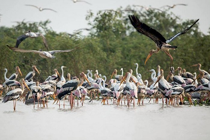 le-cambodge-au-naturel-pearaing-la-biodiversite-a-vol-doiseau