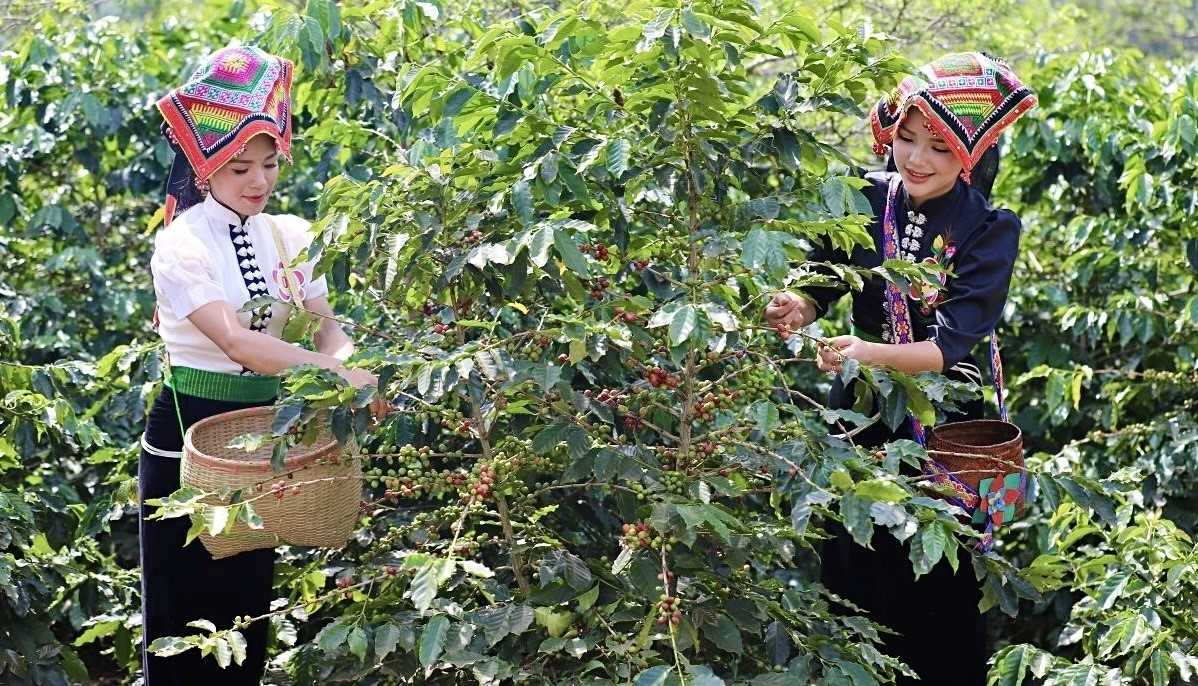 ou-acheter-du-cafe-au-Vietnam
