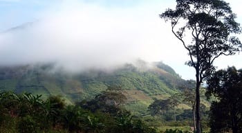 randos_phuoc-binh