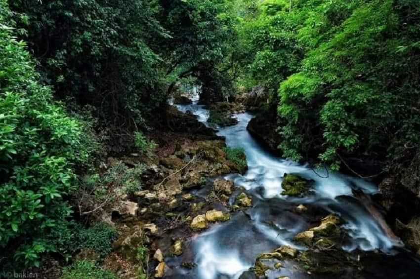 ruisseau-lenine