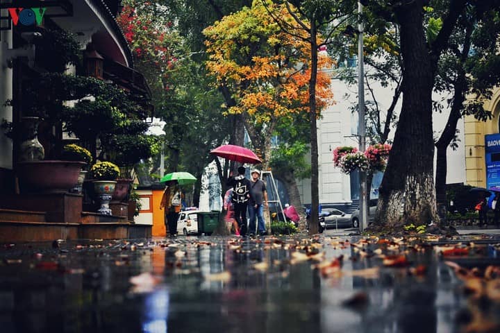 que-faire-au-vietnam-pendant-la-saison-des-pluies