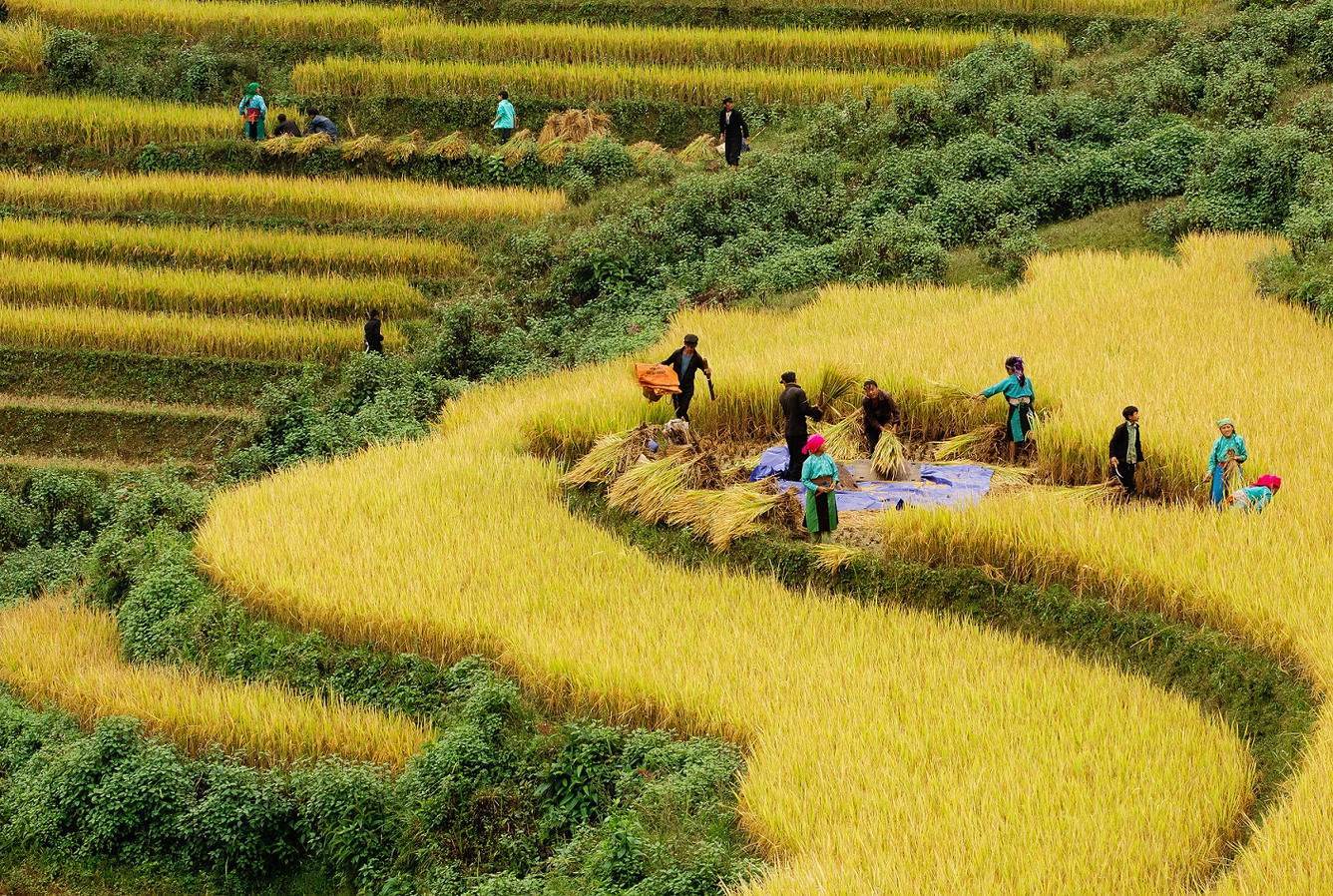 tourisme-a-la-ferme-au-vietnam