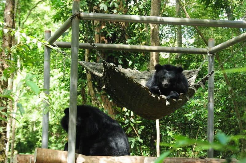 ecotourisme-du-parc-national-de-cat-tien-une-aventure-inoubliable