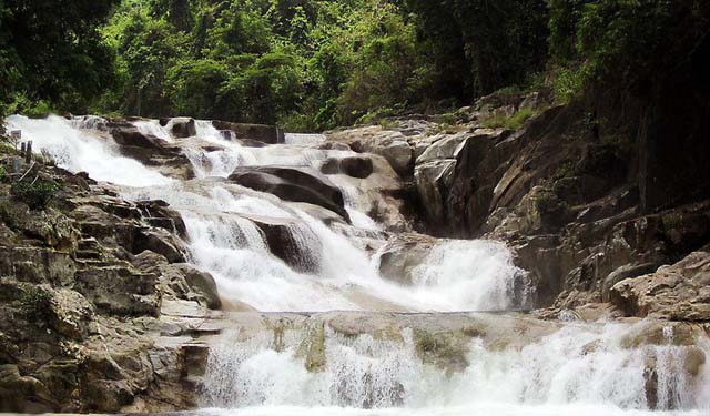 ecotourisme-du-parc-national-de-cat-tien-une-aventure-inoubliable